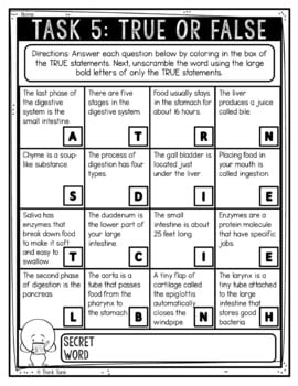 Digestive System Reading Comprehension Challenge - Close Reading - Image 3