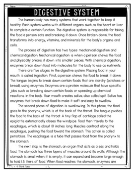 Digestive System Text Marking Detective Mystery - Reading Passages - Image 2