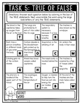 Respiratory System Reading Comprehension Challenge - Close Reading - Image 3