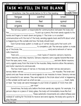Nervous System Thinktivity™ Reading Comprehension - Human Body Systems - Image 2