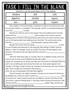 Muscular System Reading Comprehension Challenge - Close Reading - Image 2
