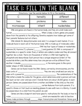Genetics and DNA Reading Comprehension Challenge - Close Reading - Image 2