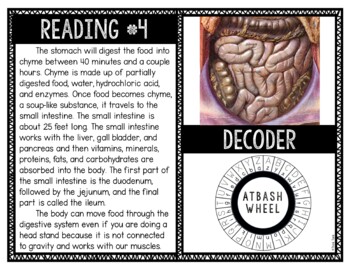 Digestive System Reading and Puzzle Escape - Image 4