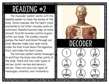 Human Body Systems Reading and Puzzle Escape - Image 2