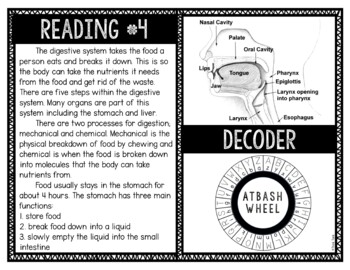 Human Body Systems Reading and Puzzle Escape - Image 3
