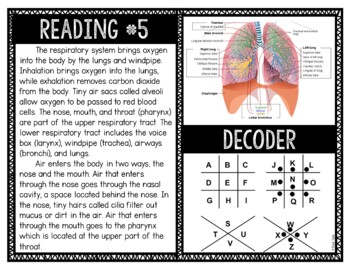 Human Body Systems Reading and Puzzle Escape - Image 4