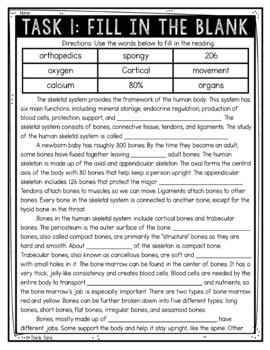 Skeletal System Reading Comprehension Challenge - Close Reading - Image 2