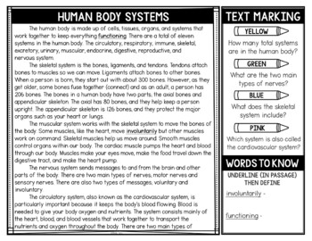 Human Body Systems Reading Passages and Text Marking - Image 2