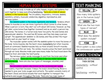 Human Body Systems Reading Passages and Text Marking - Image 3
