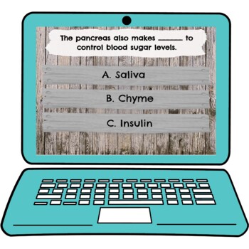 Digestive System Interactive Google Slides™ Presentation | Distance Learning - Image 2