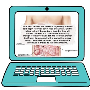 Digestive System Interactive Google Slides™ Presentation | Distance Learning - Image 3