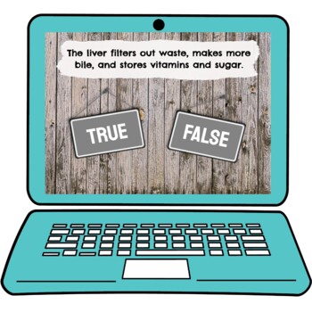 Digestive System Interactive Google Slides™ Presentation | Distance Learning - Image 4