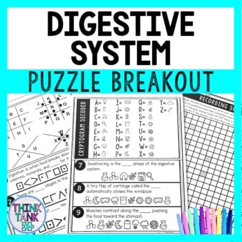 Digestive System Puzzle Stations Breakout