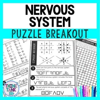 Nervous System Puzzle Stations Breakout