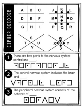 Nervous System Puzzle Stations Breakout - Image 2