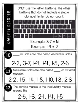 Muscular System Puzzle Stations Breakout - Image 2