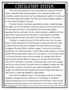 Circulatory System Text Marking Detective Mystery - Reading Passages - Image 2