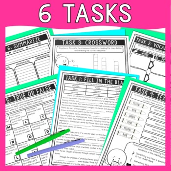 Plant Structure Reading Comprehension Challenge - Close Reading - Image 4