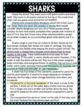 Sharks Color by Number, Reading Passage and Text Marking - Image 4