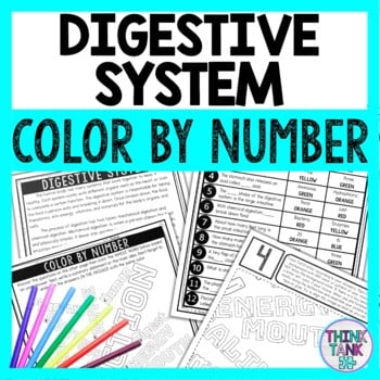 Digestive System Color by Number - Close Reading & Text Marking - Human Body