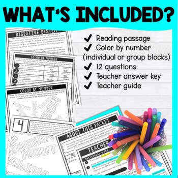 Digestive System Color by Number - Close Reading & Text Marking - Human Body - Image 2