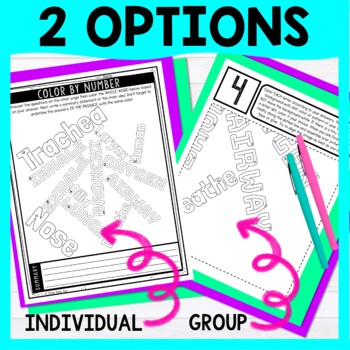 Respiratory System Color by Number - Close Reading & Text Marking - Human Body - Image 3