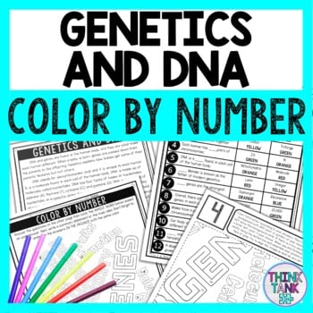 Genetics and DNA Color by Number - Close Reading & Text Marking - Human Body