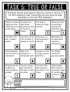 Earth Science BUNDLE - Reading Passages, Escape Rooms, Color by Number - Image 3