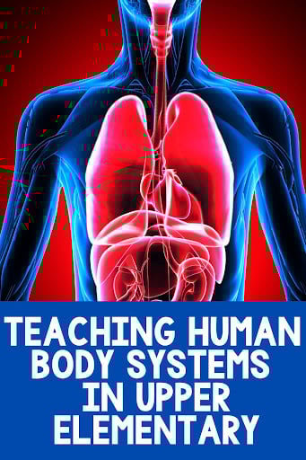 human body systems, lung and heart