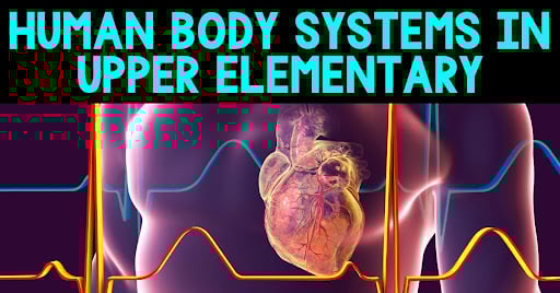 Human body systems cover