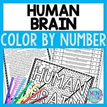 Human Brain Color by Number, Reading Passage and Text Marking
