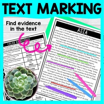 Asia Color by Number - Close Reading & Text Marking - Image 4