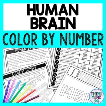 Human Brain Color by Number - Close Reading & Text Marking