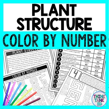 Plant Structure Color by Number - Close Reading & Text Marking