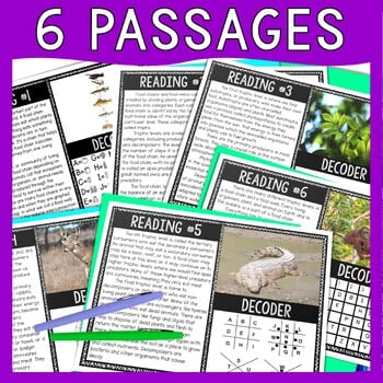 Food Chain Reading Comprehension and Puzzle Escape Room - Image 2