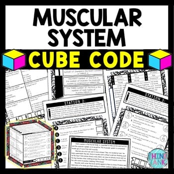 Muscular System Cube Stations - Reading Comprehension Activity - Human Body
