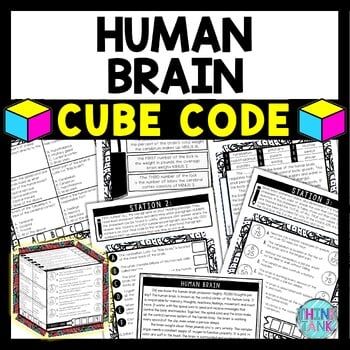Human Brain Cube Stations - Reading Comprehension Activity - Nervous System