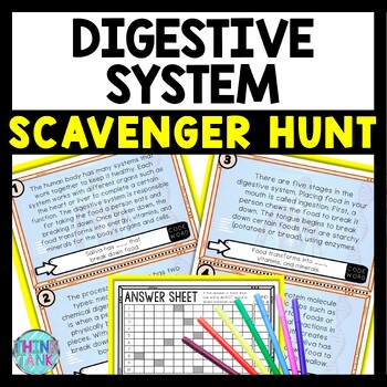 Digestive System Scavenger Hunt Reading Comprehension Activity - Human Body