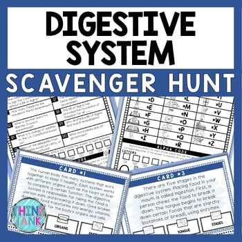 Digestive System Scavenger Hunt - Reading Comprehension Activity - Human Body