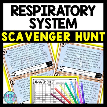 Respiratory System Scavenger Hunt Reading Comprehension Activity - Human Body