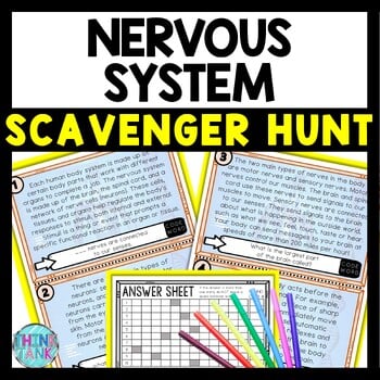 Nervous System Scavenger Hunt Reading Comprehension Activity - Human Body