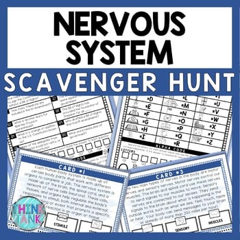 Nervous System Scavenger Hunt - Reading Comprehension Activity - Human Body