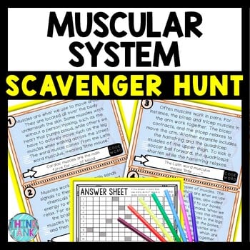 Muscular System Scavenger Hunt Reading Comprehension Activity - Human Body