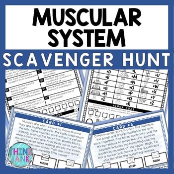 Muscular System Scavenger Hunt - Reading Comprehension Activity - Human Body