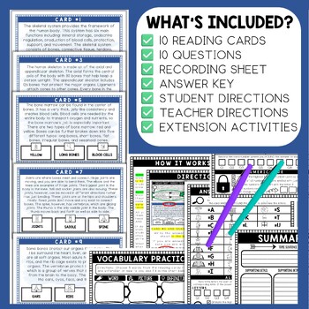 Skeletal System Scavenger Hunt - Reading Comprehension Activity - Human Body - Image 2