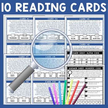 Skeletal System Scavenger Hunt - Reading Comprehension Activity - Human Body - Image 3