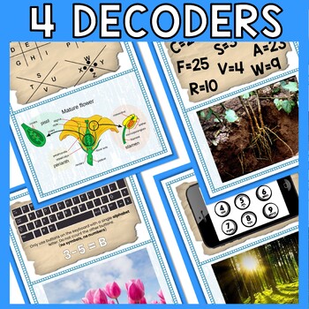 Plant Parts ESCAPE ROOM - Reading Comprehension Activity - Plant Structure - Image 4