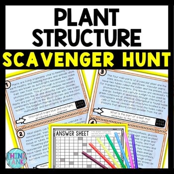 Plant Structure Scavenger Hunt Reading Comprehension Activity