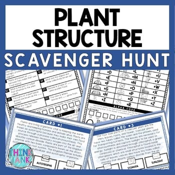 Plant Structure Scavenger Hunt - Reading Comprehension Activity