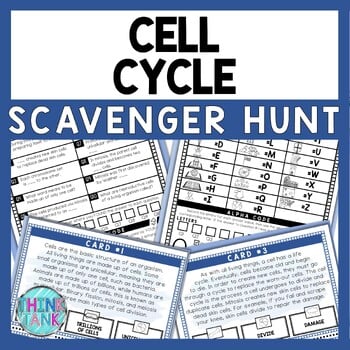 Cell Cycle Scavenger Hunt - Reading Comprehension Activity